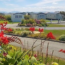 flowersinbloomwithsnowdonia